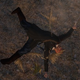 Image for article titled A First Stab at the World's Premiere Medieval Shanking Simulator